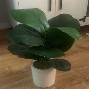 Target Faux Fiddle Leaf Fig in Cream Pot